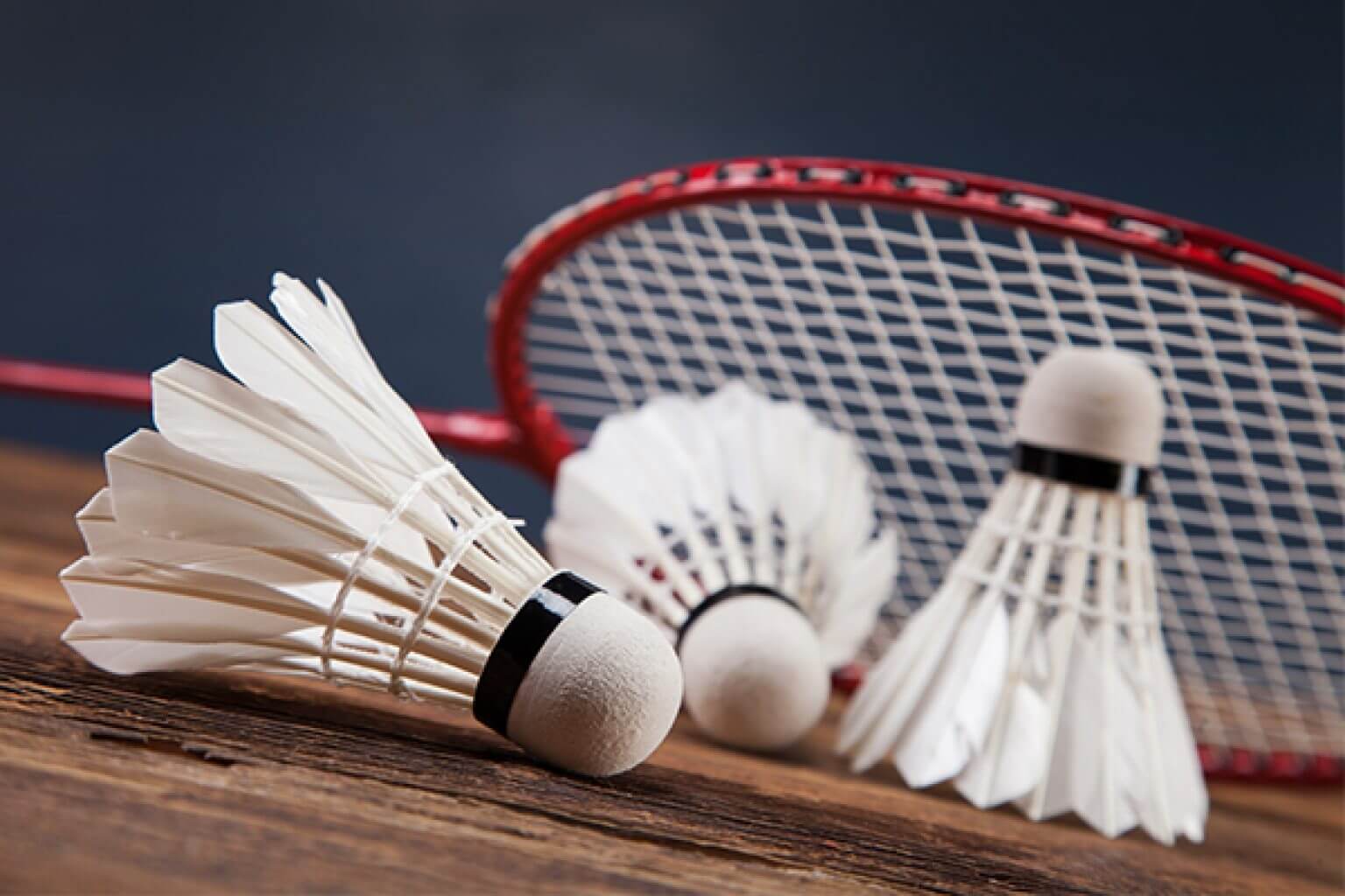 Badminton Rules Singles and Doubles Sporty Review