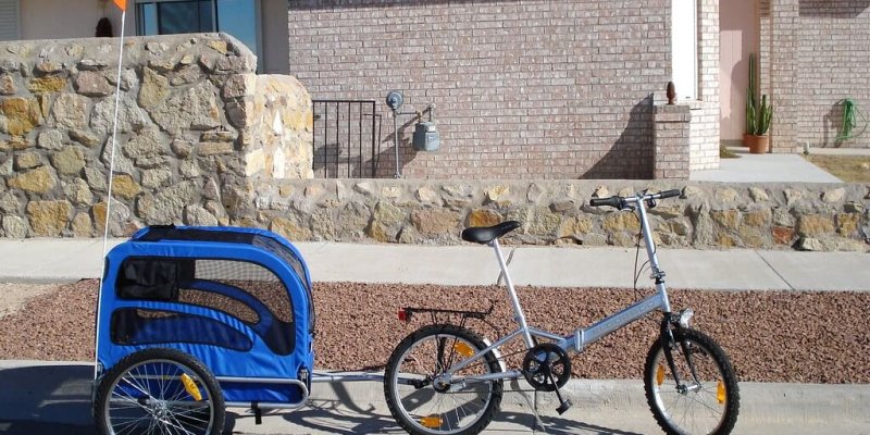 Amazon’s Top 9 Bike Trailers For Kids