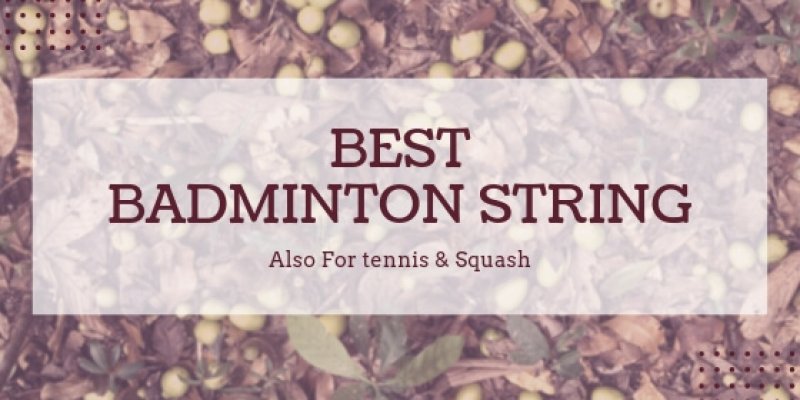Best Badminton String 2020 Reviews