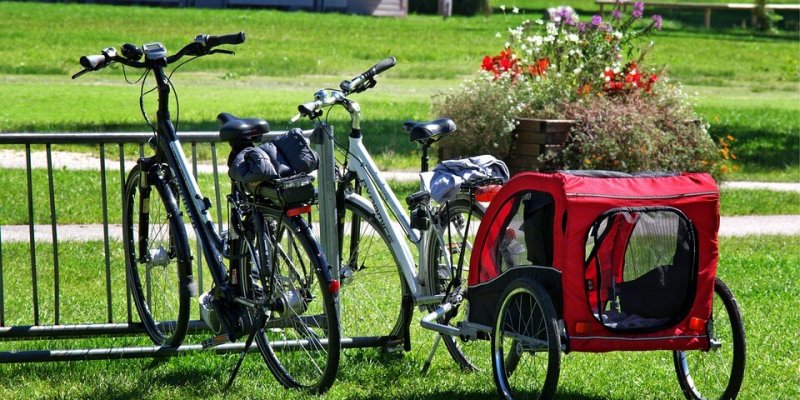 Amazon’s Top 7 Bike Trailers For Dogs of All Sizes